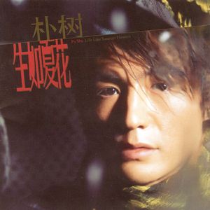 草莓视频污视频
