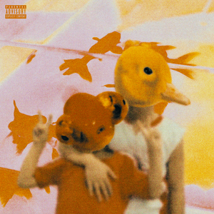 草莓视频污视频
