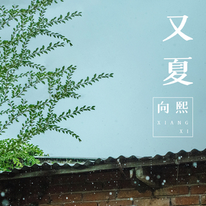 草莓视频污视频
