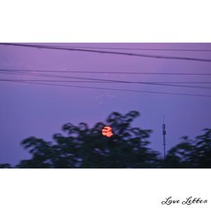 草莓视频污视频
